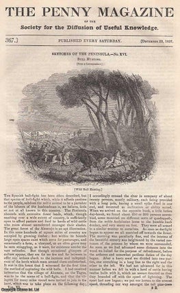Item #281476 Bull Hunting, Spain; The Leech Fishery; Royal Banqueting; Public Walks, part 29;...