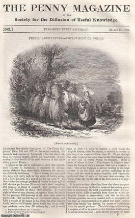 Item #281492 French Agriculture: Employment of Women; James Barry's Pictures: The Victors at...