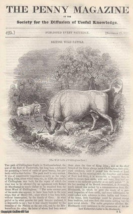 British Wild Cattle; The Manufacture of Alabaster Ornaments; Demosthenes, Greek. Penny Magazine.