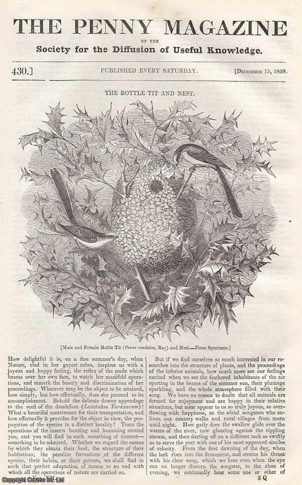 Item #281539 The Bottle Tit (Male & Female Bird) and Nest; Oxalic Acid and Salts of Lemons; Eastern Harems; Quacks and Quack Medicines, etc. Issue No. 430, December 15th, 1838. A complete original weekly issue of the Penny Magazine, 1838. Penny Magazine.