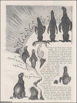 Item #289563 Phopine : the seal. Zig-Zags at The Zoo. An uncommon original article from The...