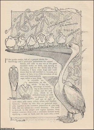 Item #289574 Conkavian : Pelicans. Zig-Zags at The Zoo. An uncommon original article from The...