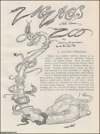 Item #289606 Ophidian : Reptiles. Zig-Zags at The Zoo. An uncommon original article from The...