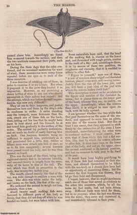 Captain Ross, in his Polar Dress, PLUS The Sea-Devil (Manta ray). A complete rare weekly issue of the Mirror of Literature, Amusement, and Instruction, 1834.