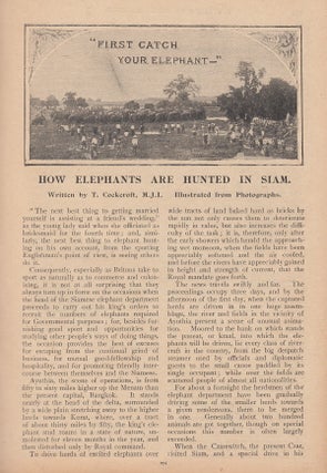 Item #309144 How Elephants are Hunted in Siam. Illustrated from photographs. This is an original...