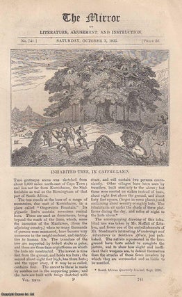 Item #314877 Inhabited Tree, in Caffre-Land & Egyptian Furniture. A complete rare weekly issue of...