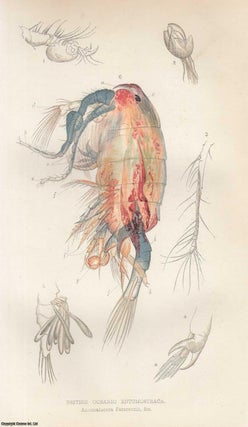 Item #318249 The British Oceanic Entomostraca. An original uncommon article from the Intellectual...