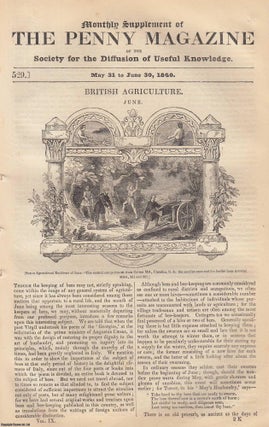 British Agriculture in June. Issue No. 529, 1840. A complete. Penny Magazine.