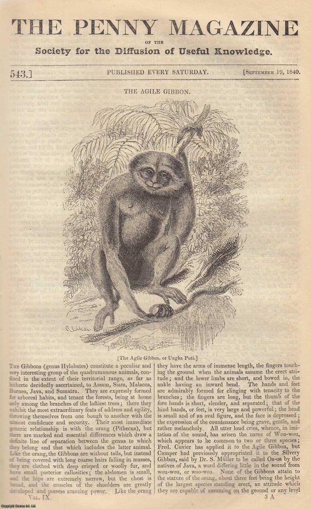 Item #319757 The Agile Gibbon, or Ungka Puti; The Countries of Wallachia and Moldavia (Part 2); Feigned Diseases (Part 1). Issue No. 543, September 19th, 1840. A complete original weekly issue of the Penny Magazine, 1840. Penny Magazine.