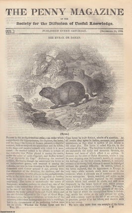 Item #319932 The Hyrax, or Daman (Rock Rabbit); Bathing and Swimming; The Alhambra; The Pancha...