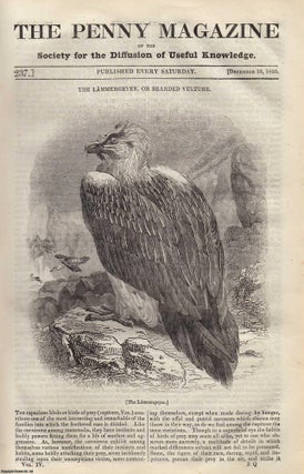 The Lammergeyer, or Bearded Vulture; Costume of Normandy; The Bamboo. Penny Magazine.