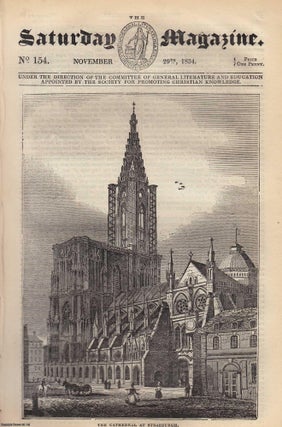 The Cathedral of Strasburgh; The Luminous Appearance of The Sea. Saturday Magazine.