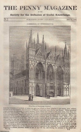 Item #330625 The Cathedral of Peterborough; The Smut or Dust Brand in Barley & Wheat; A Game of...
