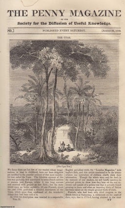 The Upas Tree (introduced by Dutch soldiers); Weaving in Ceylon. Penny Magazine.