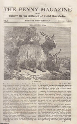 Item #330648 The Cachemire Goat (animal); The Natural Bridges of Icononzo; The City of Rochester,...