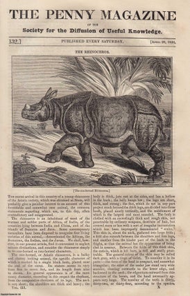 The Rhinoceros; The Cathedral of Exeter; The Gondola (rowing boat. Penny Magazine.