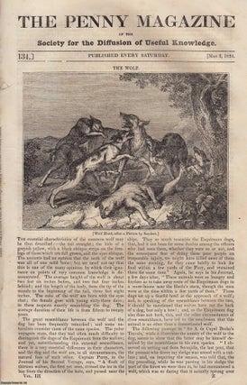 The Wolf (wolf hunt); Cemeteries (Grand Cairo); The Loss of. Penny Magazine.