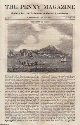 Item #330697 The Island of Ischia; Slavery in The East; The cathedral of Ely; The Alpine Marmot...