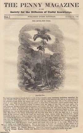 The Betel-Nut Tree; The Cheesewring, Kilmarth Rocks, and Trevethy Stone. Penny Magazine.