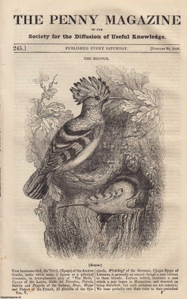 Item #330937 The Hoopoe (bird); The Steam-Engine, and Navigation; Alnwick Castle; Whale Fishery...