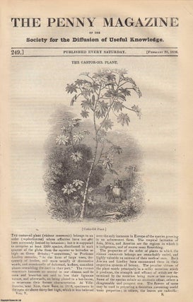 Item #330941 The Castor-Oil Plant; Potatoes; The Town of Athlone (Ireland); Penal Laws and Their...