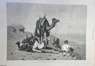 Item #357121 A Rest in the Desert. An original page from the Graphic Illustrated Weekly Magazine,...