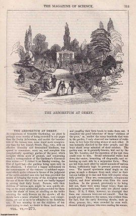 Item #357147 1845, The Arboretum at Derby. A half page engraving featured in a complete issue of...