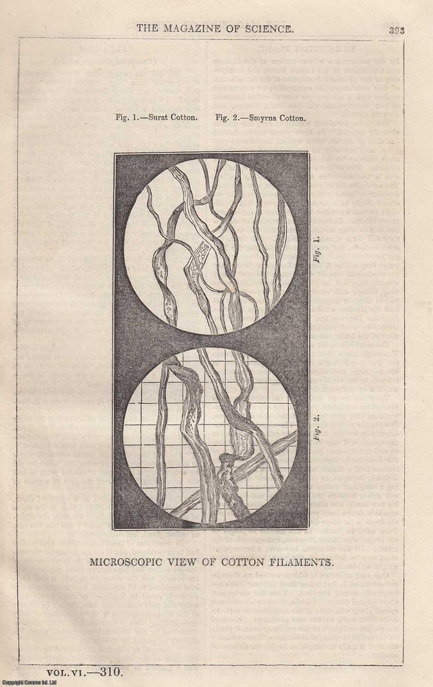 Item #357179 1845, Microscopic View of Cotton Filaments, along with an article by W. Taylor on...