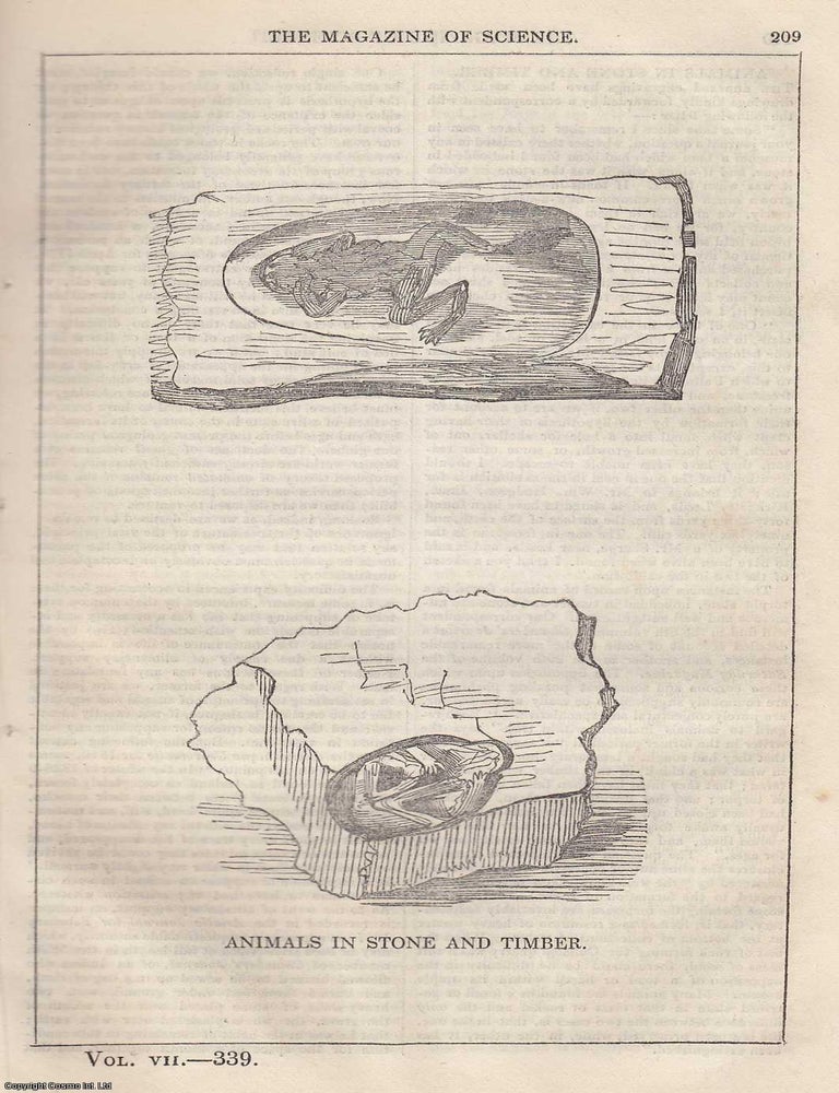 Item #357203 1846, Animals in Stone and Timber. A full page engraving featured in a complete...