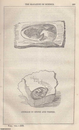 Item #357203 1846, Animals in Stone and Timber. A full page engraving featured in a complete...