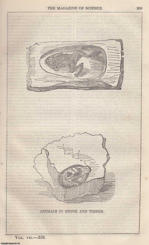 Item #357203 1846, Animals in Stone and Timber. A full page engraving featured in a complete...