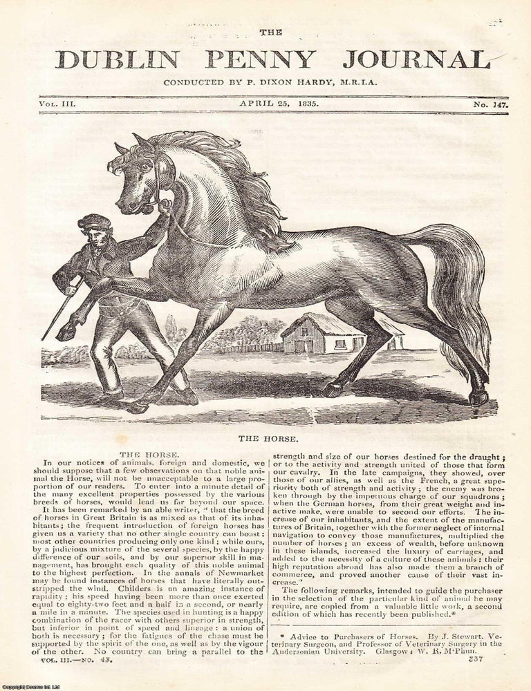 Item #357282 1835, The Ruins of River Lyons, King's County and the Horse. Featured in a full...