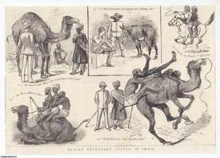 Item #357550 Buying Transport Cattle in India. An original print from the Graphic Illustrated...