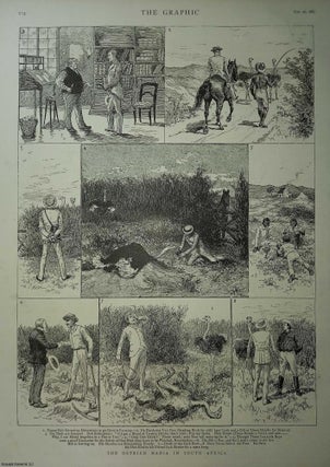 Item #357609 The Ostrich Farming Mania in South Africa. An original print from the Graphic...