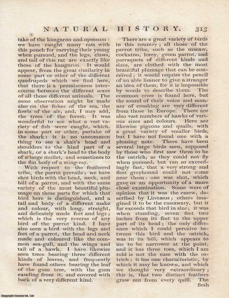 Item #358487 The Animals of New South Wales, from Hunter's Historical Journal of the Transactions...