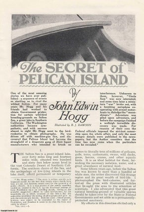 Item #358806 The Secret of Pelican Island. Part I. 1933. This is an original article from the...