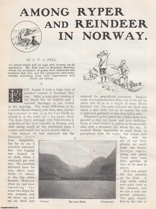 Item #358885 Among Ryper and Reindeer in Norway. 1911. This is an original article from the Wide...