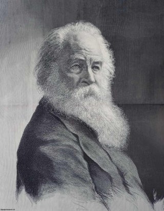 Walt Whitman, the American Poet. A striking original woodcut engraving. WALT WHITMAN.