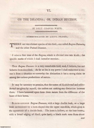 On the Dhanesa; or, Indian Buceros. An original article extracted. Lt. Charles White. Communicated by.