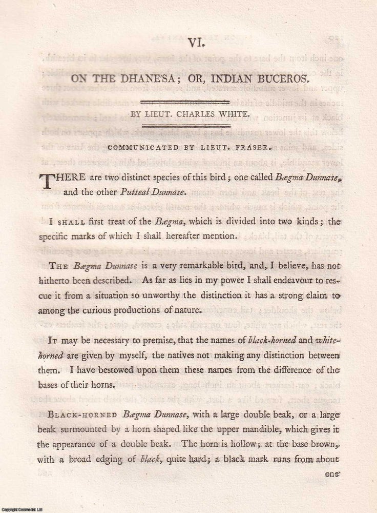 Item #359267 Observations on the Dhanesa (Indian Buceros), by Lt. Charles White, 1799. A NOTABLE...