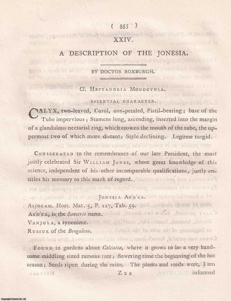 Item #359285 A Description of Jonesia, by Dr Roxburgh, 1799. A NEW GENUS FROM THE INDIAN FLORA