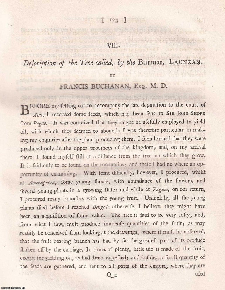Item #359302 Description of the Launzan Tree, by Francis Buchanan, 1799. A BURMESE TREE OF NOTE