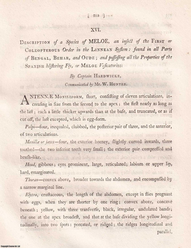 Item #359310 Description of a Species of Meloe from Bengal, Behar, and Oude, by Captain...