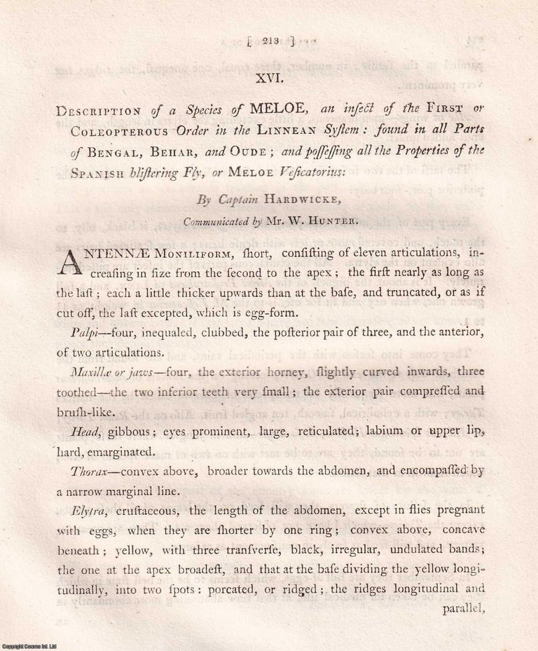 Item #359310 Description of a Species of Meloe from Bengal, Behar, and Oude, by Captain...