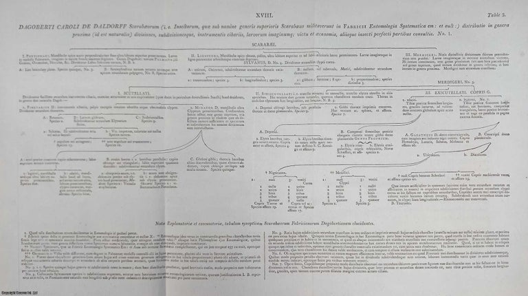 Item #359349 Dagoberti Caroli de Daldorff Scarabaeorum distributio in genera proxima. 1 folding...