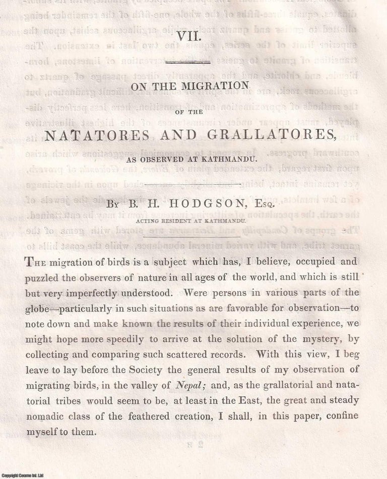 Item #359560 On the Migration of the Natatores and Grallatores, observed at Kathmandu. An original article extracted from Asiatic Researches; or Transactions of the Society Instituted in Bengal, 1833. [Afterwards known as The Asiatic Society of Bengal]. Acting Resident at Kathmandu B H. Hodgson.