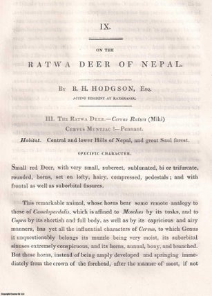 Item #359562 On the Ratwa Deer of Nepal. An original article extracted from Asiatic Researches;...