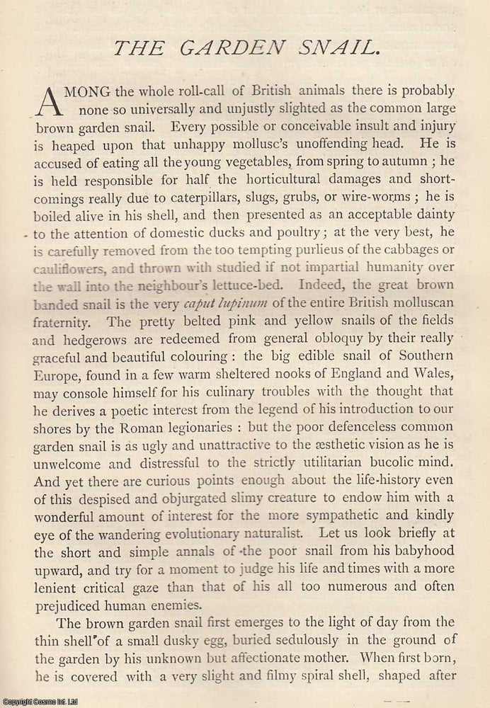 Item #360333 The Garden Snail, by Grant Allen. An original essay from The Gentleman's Magazine, 1884. Gentleman's Magazine.