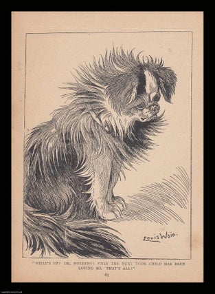 Item #360447 Louis Wain - A dog, probably a KCS - printed in 1915. An original uncoloured print...