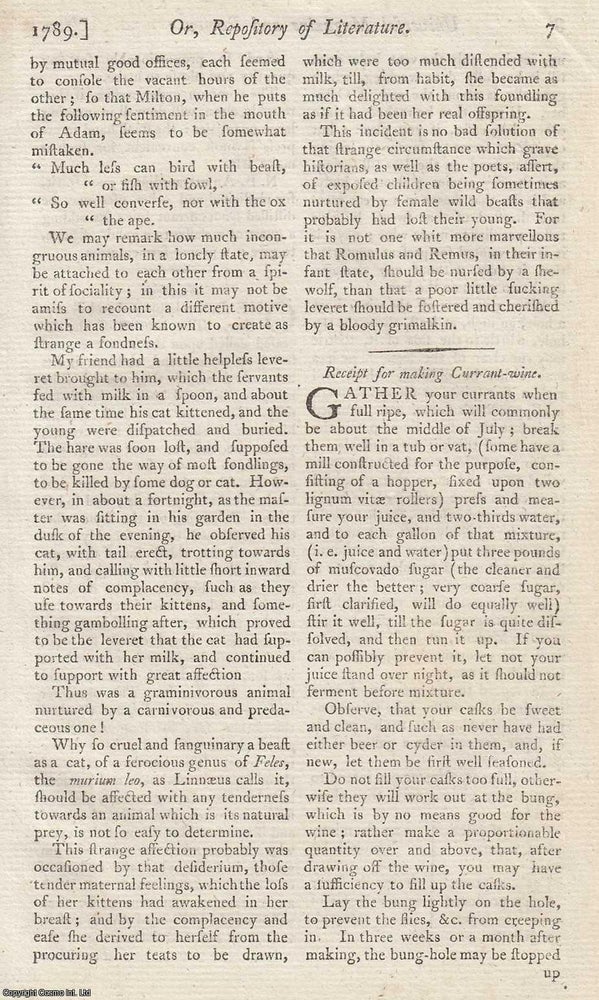 Item #361837 How to Make Currant Wine. Receipe for making Currant Wine : Gather your currents...